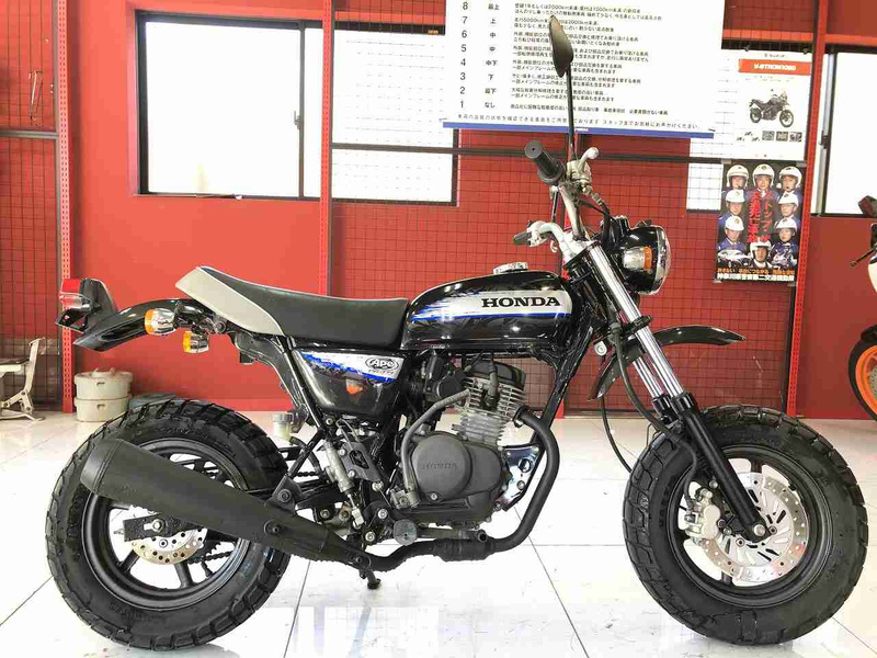 APE50 ホンダ　純正　未使用 ホンダ Ape50 TypeD (1230056) | 中古バイク・新車の事なら