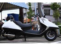 ホンダ フュージョン タイプX (1176826) | 中古バイク・新車の事なら