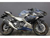 Ｎｉｎｊａ　２５０