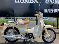 ホンダ リトルカブ (1200938) | 中古バイク・新車の事ならバイクの窓口
