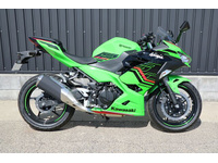 Ｎｉｎｊａ　２５０