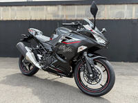 Ｎｉｎｊａ　４００