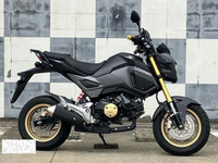 ＧＲＯＭ（グロム）