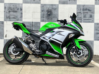 Ｎｉｎｊａ　２５０