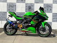 Ｎｉｎｊａ　ＺＸ－２５Ｒ