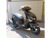 シグナス グリファス