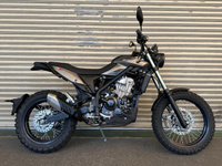 ベータ　ＡＬＰ－Ｘ