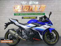 ＧＳＸ２５０Ｒ