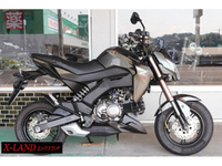 Ｚ１２５　ＰＲＯ